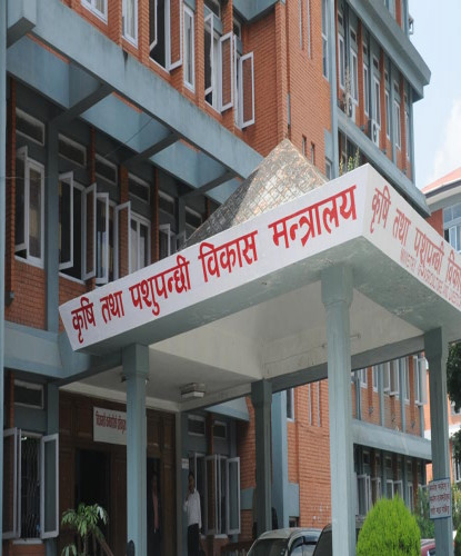 मल नपाएर चिन्तामा किसान : कृषि मन्त्रालय भन्छ ,‘बङ्गलादेशबाट छिट्टै मल आउँछ’