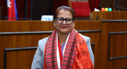 राष्ट्रियसभा उपाध्यक्षमा भण्डारी निर्विरोध निर्वाचित