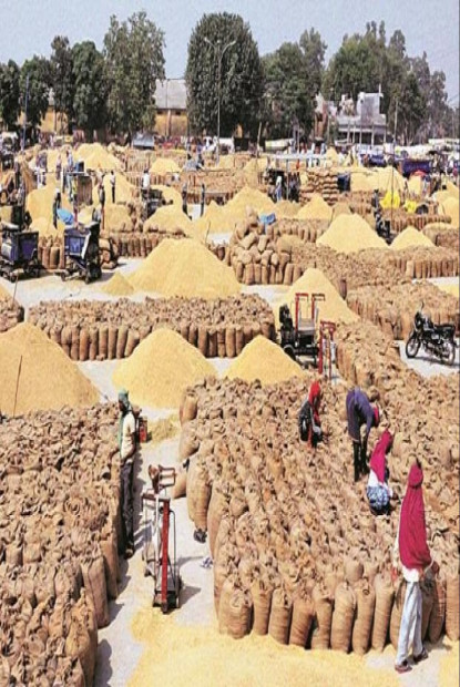 सल्यानमा नौ हजार मेट्रिक टन खाद्यान्न बचत