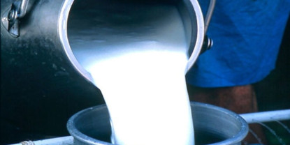 डीडीसीले बढायो दूधको मूल्य