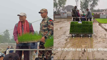 यस वर्ष मलको अभाव  नहुने  कृषिमन्त्री परियारकाे भनाई