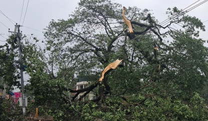 पछिल्लो २४ घण्टामा देशभर विपद्का ३१ घटनामा एकको मृत्यु, ४ जना घाइते 