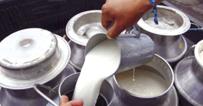 डेरी उद्योगीले बढाएको दूधको मूल्य फिर्ता