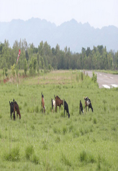 टीकापुर विमानस्थल सञ्चालनका लागि सर्वेक्षण