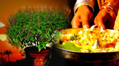 घर घरमा तुलसीको दल राखिँदै