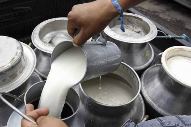 दूध अभावले ‘चितवन मिल्क’ बन्द