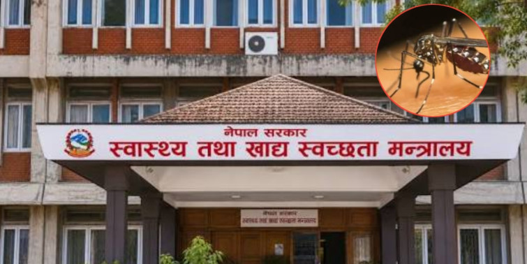 देशभर  एक हजारबढी डेंगुका बिरामी, यस्तो छ मन्त्रालयको तयारी