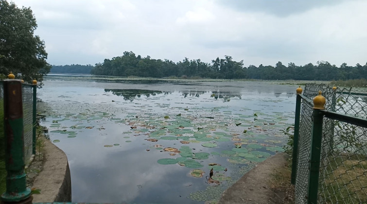 घोडाघोडी सिमसारलाई बर्ड सेन्चुरी घोषणा गरिँदै