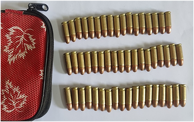 झापाबाट ५५ राउन्ड एसएलआरको गोली बरामद