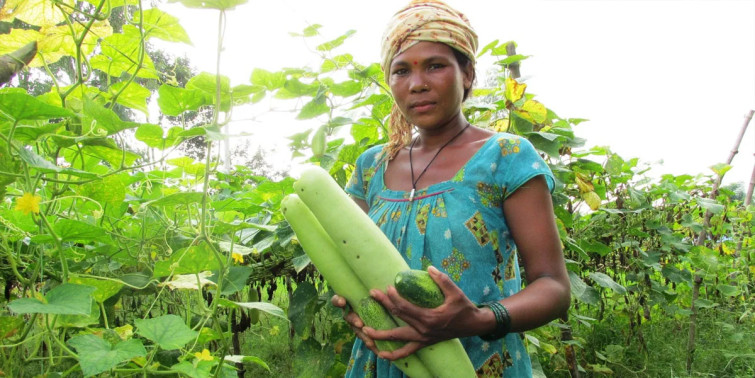 तरकारी खेतीबाट मनग्य आम्दानी गर्दै मुक्तकमैया