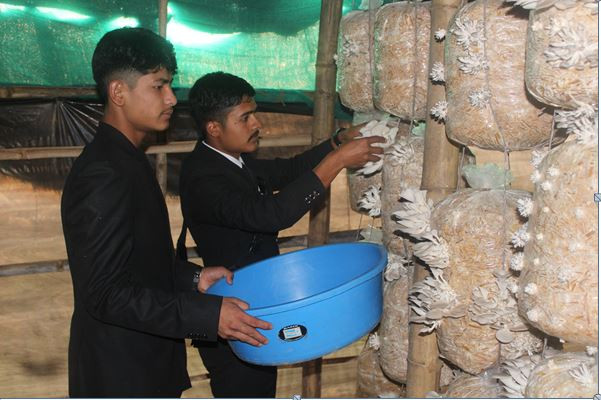 विद्यालयमै च्याउखेती, पहिलो पटकमै ४० हजारको आम्दानी