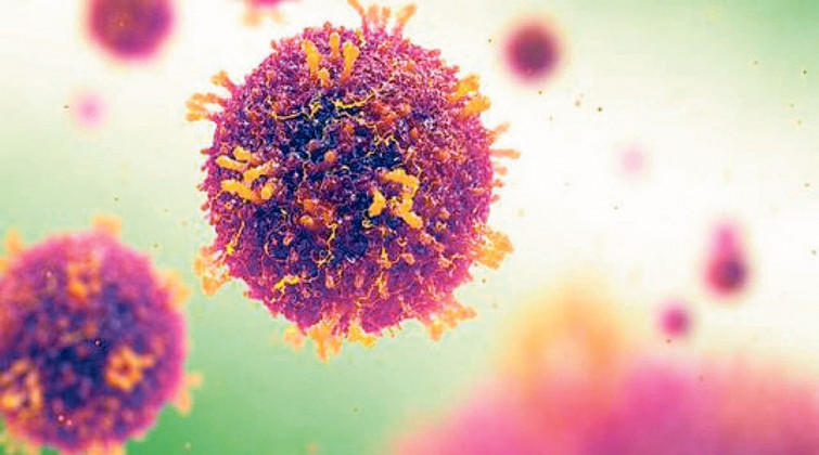 कोरोना संक्रमणबाट ३ जनाको मृत्यु, ४४४ संक्रमित