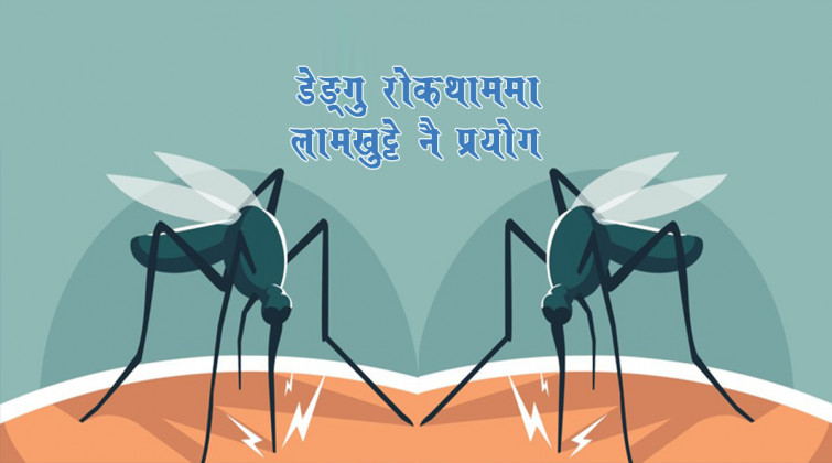 खोटाङमा आठ जनामा डेङ्गु सङ्क्रमण