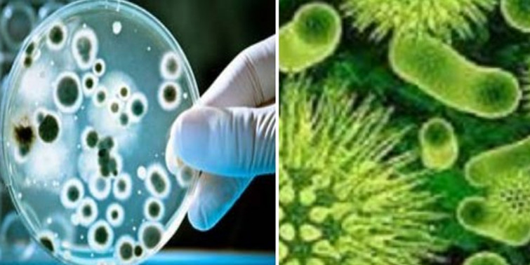 जारको पानीमा दिसामा पाइने जीवाणु भेटियो, उमालेको पानी पिउन चिकित्सकको सुझाव