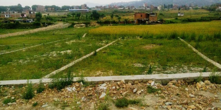 जग्गाको कित्ताकाट खुल्यो