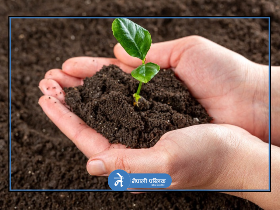 सरकार माटो व्यवस्थापनमा जोड, डिजिटल माटो नक्सा अद्यावधिक हुँदै