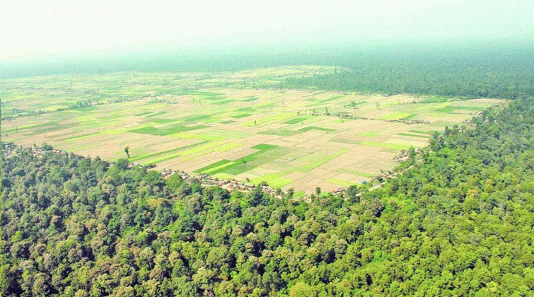 निजगढमा अन्तर्राष्ट्रिय विमानस्थल नबनाउन सर्वोच्चको आदेश, विकल्प खोज्न सुझाव