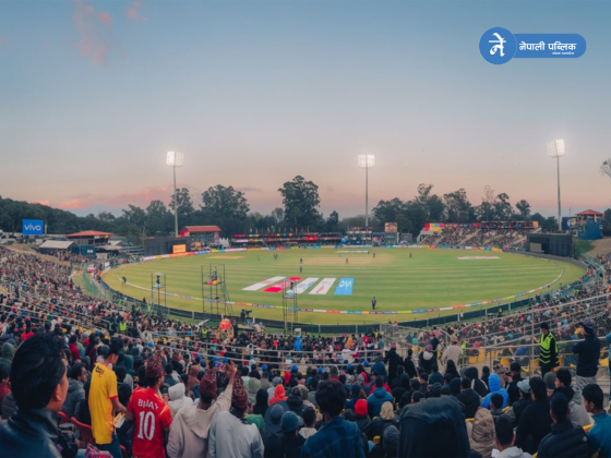 एनपिएलः चार टोली प्लेअफमा, उपाधिका लागि प्रतिस्पर्धा तीव्र