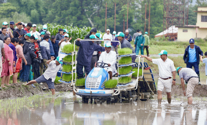 देशभर धमाधम रोपाइँ जारी
