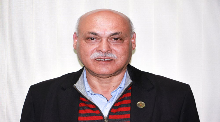 राष्ट्रपतिलाई मुद्दा लगाउन मिल्दैन : वरिष्ठ अधिवक्ता पन्त
