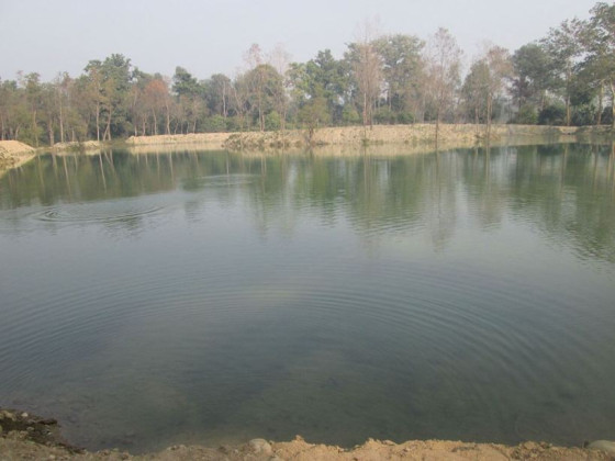 आज विश्व सिमसार दिवस : सहरीकरण र संरक्षण अभावमा सिमसार क्षेत्र मासिँदै