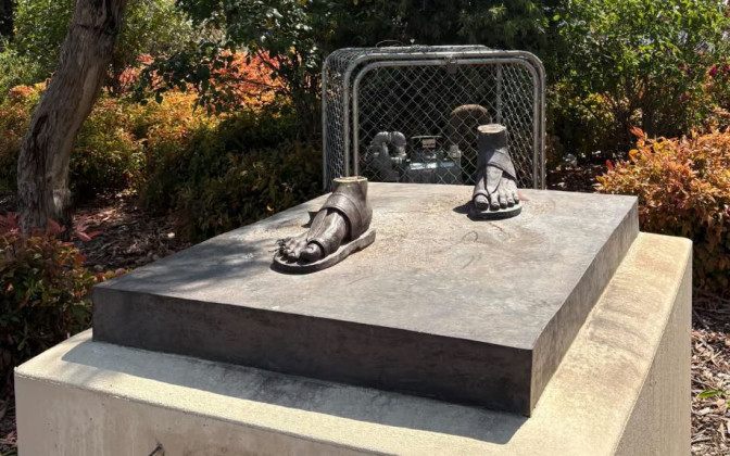 महात्मा गान्धीको सालिक चोरी