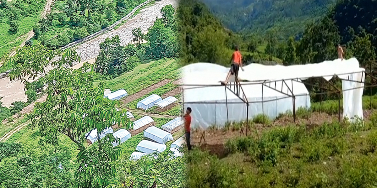 मुख्यमन्त्री नमुना कृषि गाउँमा अनियमितता छोप्न रातारात काम