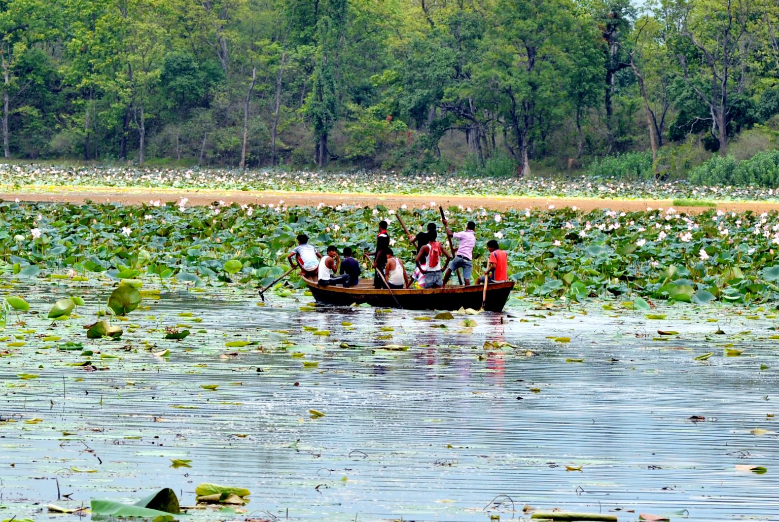 आज विश्व सिमसार दिवस