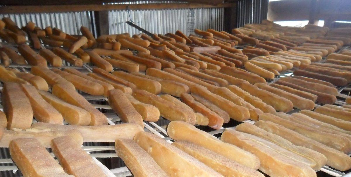 इलाममा दुई हजार किलो छुर्पी बरामद