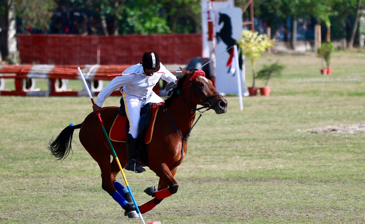टुँडिखेलमा मनाइयो घोडेजात्रा पर्व