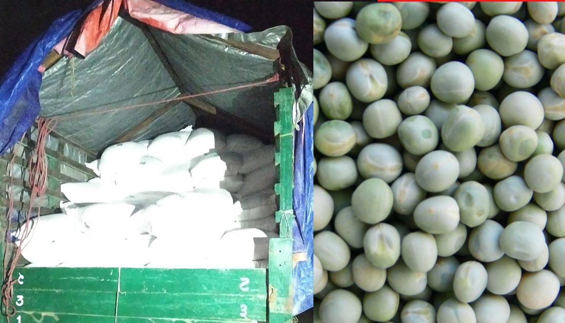साढे सात क्विन्टल मटर बरामद