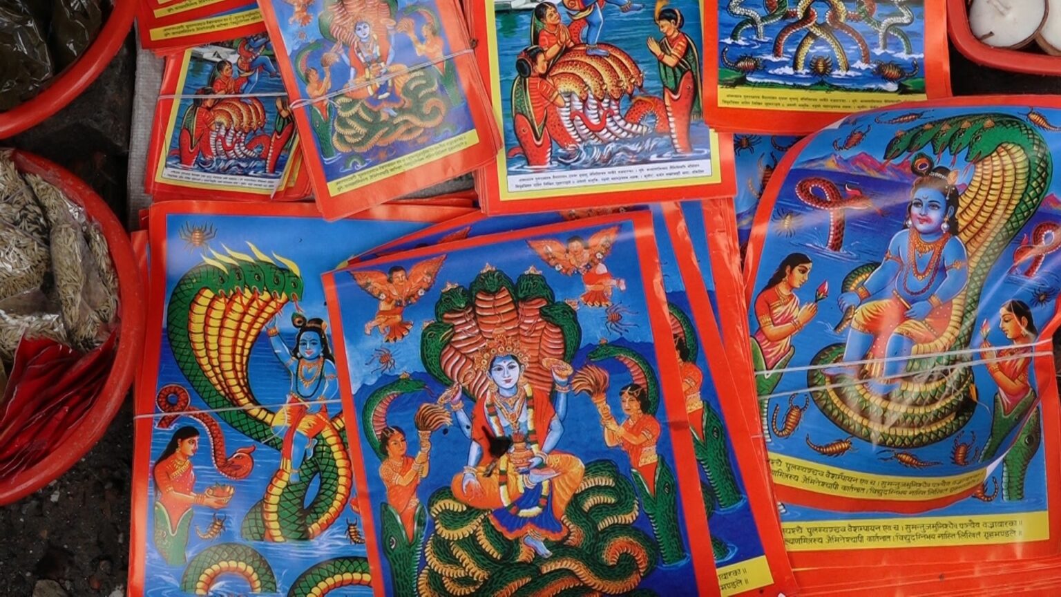 आज श्रावण शुक्ल पञ्चमीः विधिपूर्वक नागको पूजा–आराधना गरी नागपञ्चमी पर्व मनाइँदै