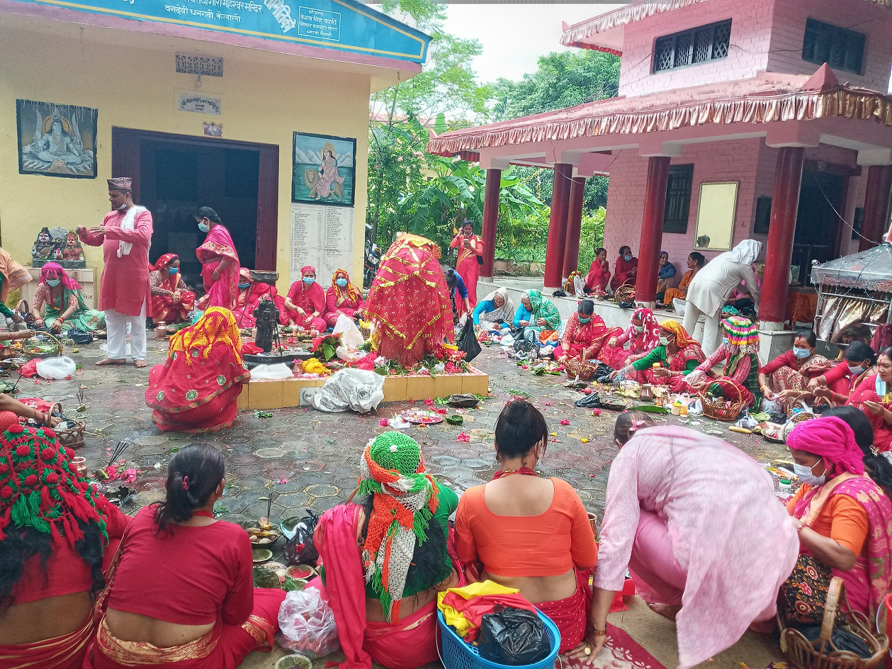 गौरा पर्वको महत्वपूर्ण दिन आज दुर्वाष्टमी 