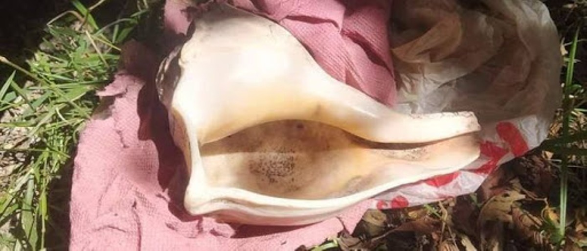 ४ वर्षपछि चन्दननाथको दाहिने शङ्ख भेटियो