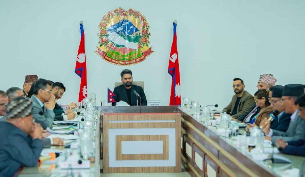 प्रधानमन्त्रीद्वारा विश्वविद्यालय र स्वास्थ्य प्रतिष्ठानका उपकुलपतिसँग छलफल