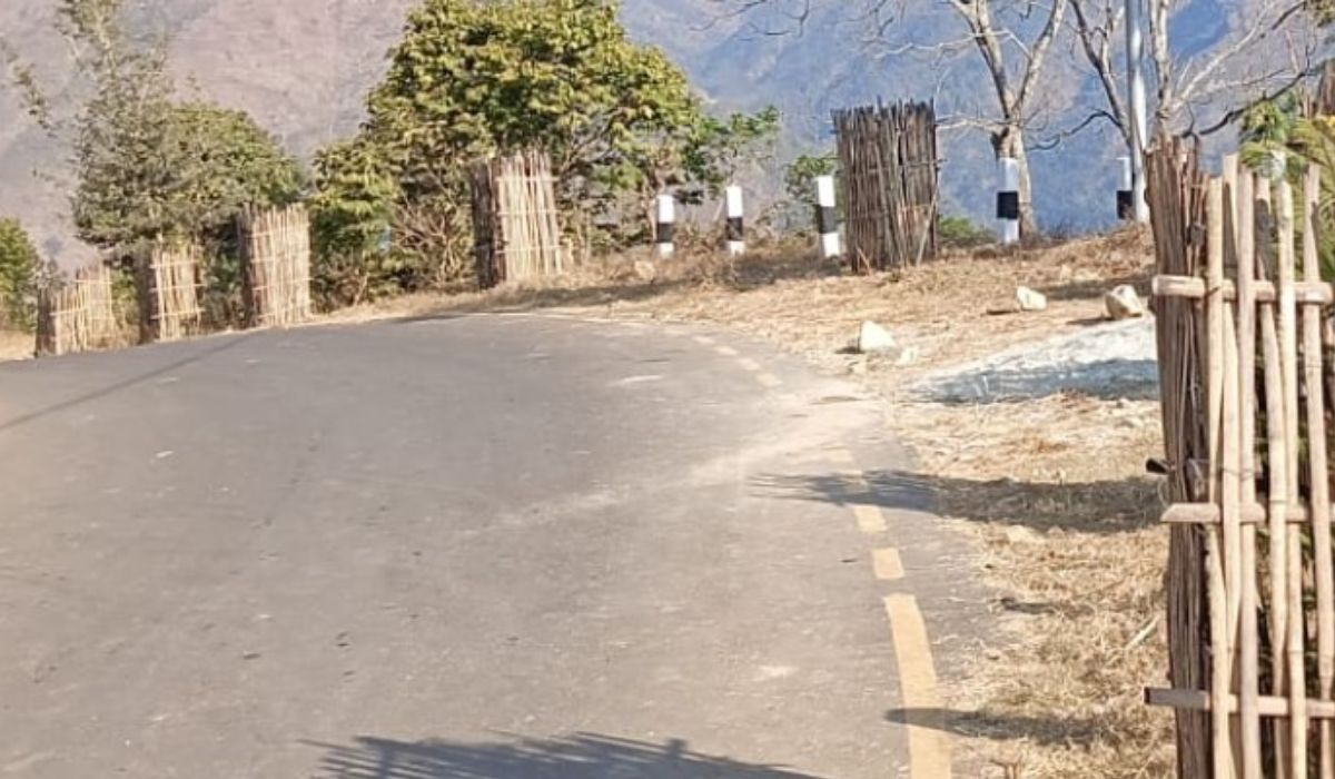 हरित सडक अभियानले फेरियो चिसापानीको मुहार, सडक किनारै बगैँचाजस्तो