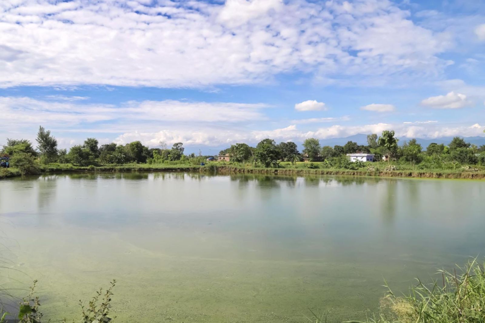 रु १२ हजारबाट सुरु गरेको माछापालन, अहिले वार्षिक १५ लाख बचत