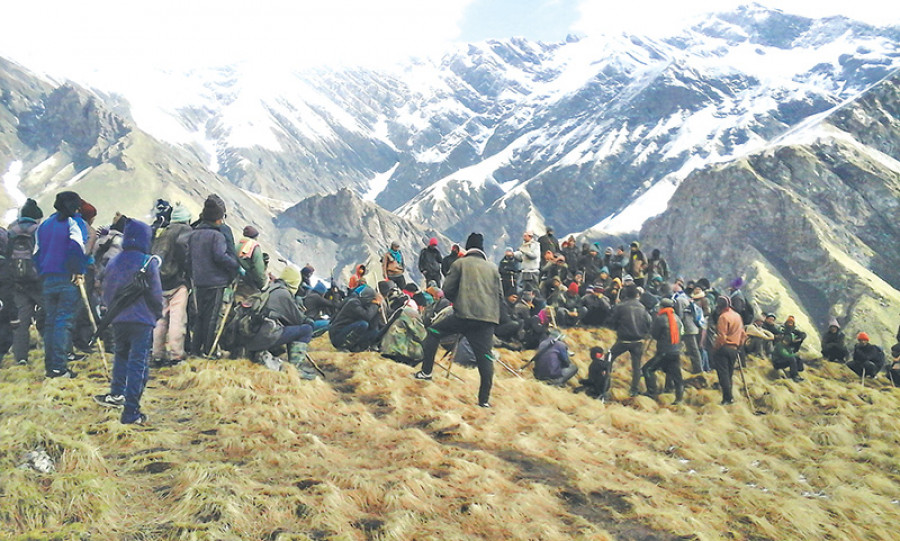 हिमाली क्षेत्रको जनताका लागि काल बन्दै यार्सागुम्बा