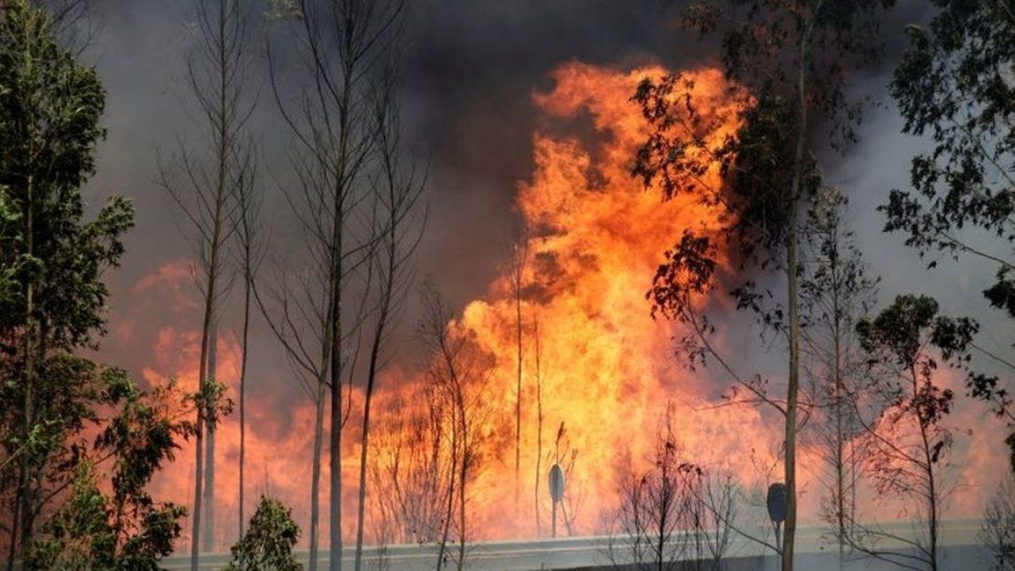 पोर्चुगलको जंगलमा भिषण अगलागीः आगो नियन्त्रण बाहिर