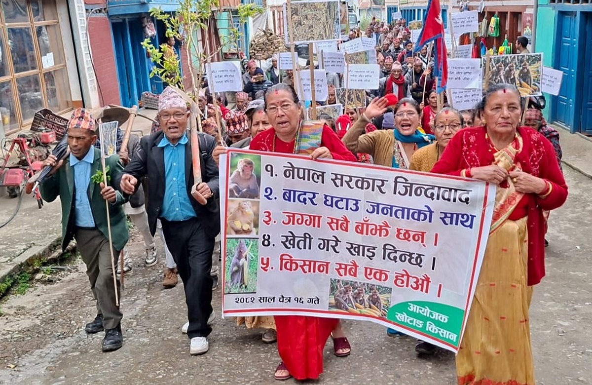 बाँदर नियन्त्रण गर्न माग गर्दै किसानहरू सडकमा