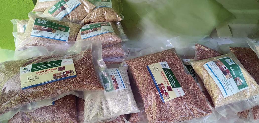 कर्णालीमा नौ रैथाने बाली सूचीकृत