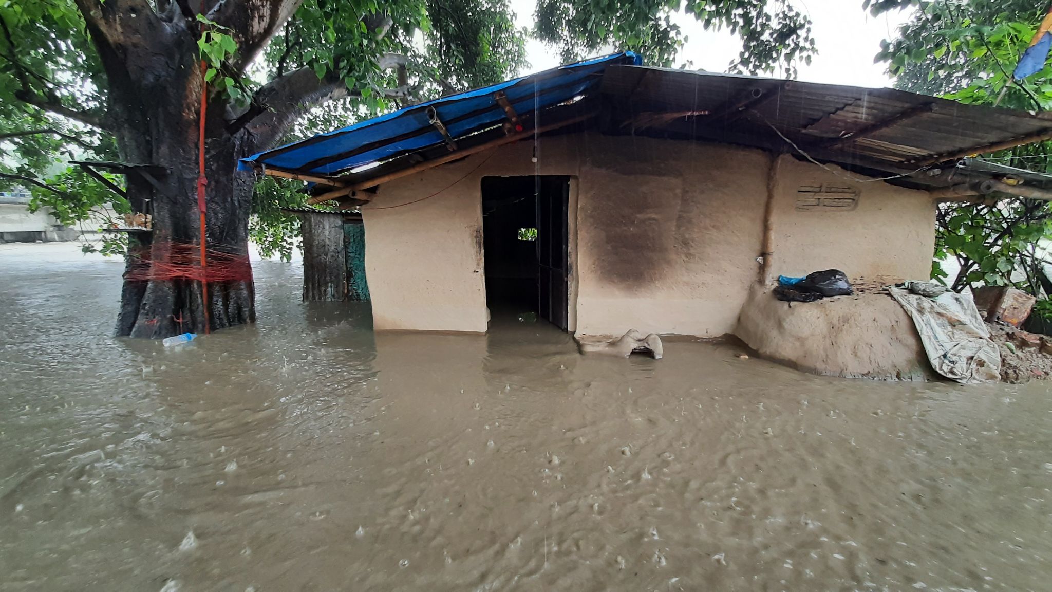 बाढीका कारण विराटनगरका १९९ परिवार विस्थापित