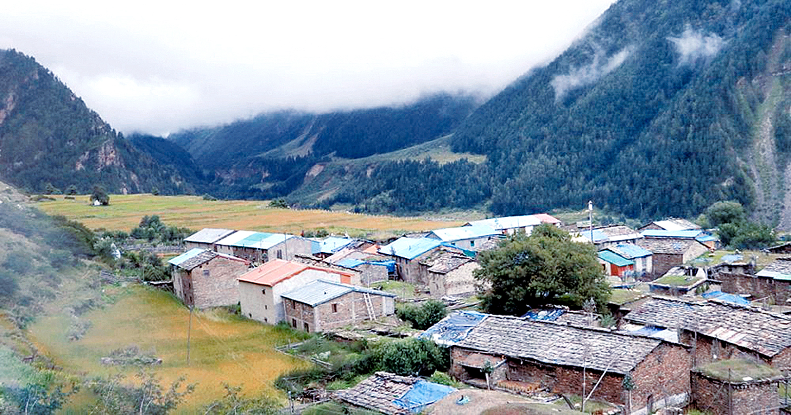 जोखिम मोलेर छाङरु पुग्यो जनगणना टोली