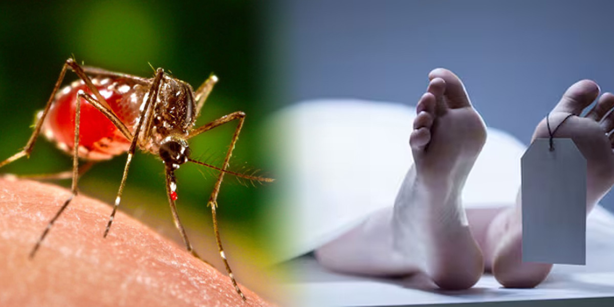 डेंगु संक्रमणबाट टेकु अस्पतालमा २४ वर्षीया युवतीको मृत्यु