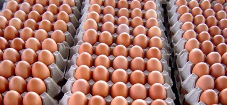 अण्डाको उत्पादन घटेसँगै मूल्यमा वृद्धि