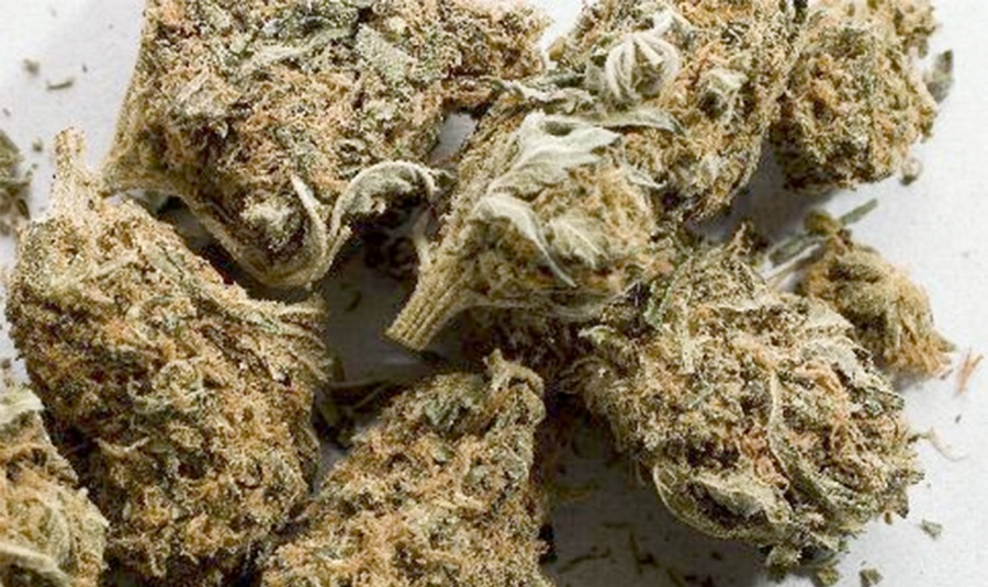 १८० किलो गाँजासहित तीन पक्राउ