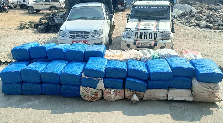 सुनसरीमा ९५५ किलो गाँजासहित २ जना पक्राउ