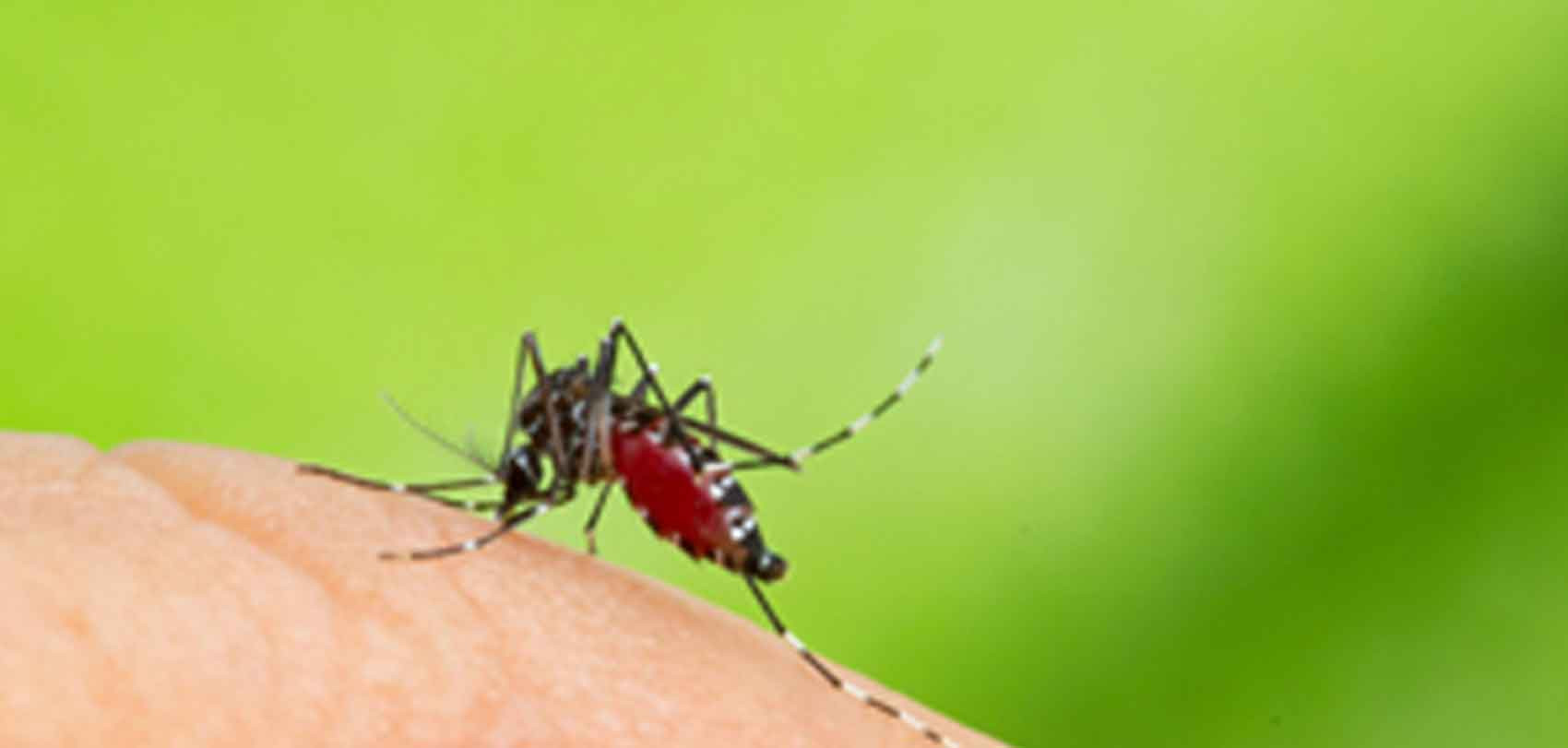 बाजुरामा भेटिए कालाजारका बिरामी, औषधि नहुँदा धनगढी ल्याइयो
