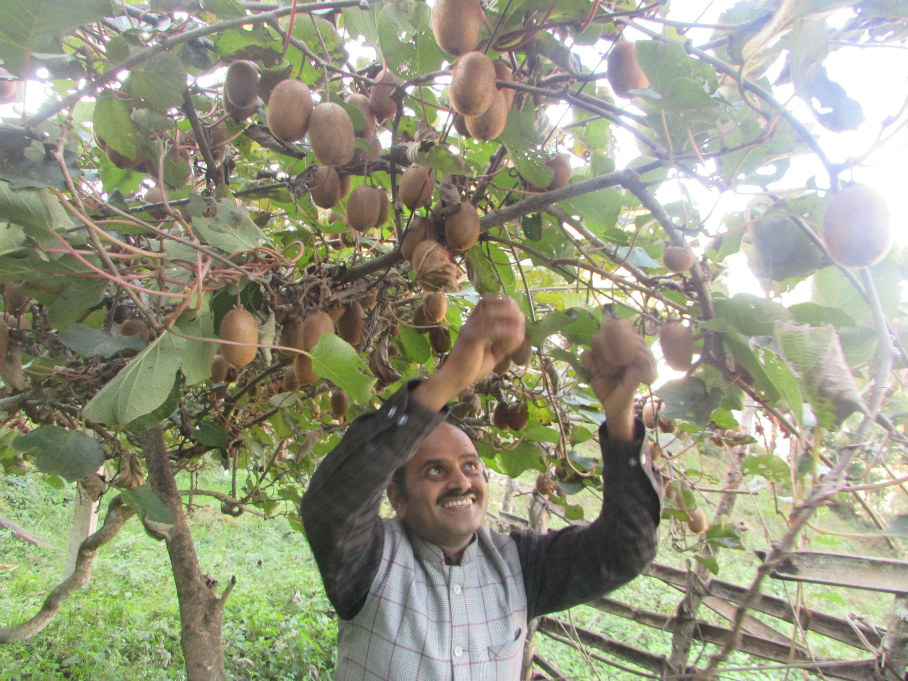 किबी बजार लैजान तयारी