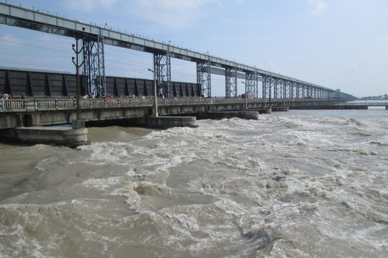 कोशि ब्यारेजमा खतराको घण्टी, ५६ मध्ये ४२ ढोका खोलियो